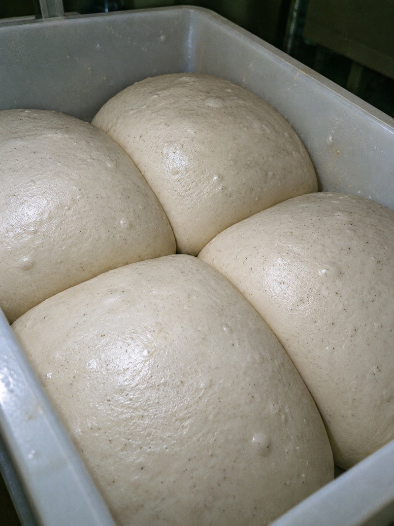 Bollos de masa Benito's en reposo