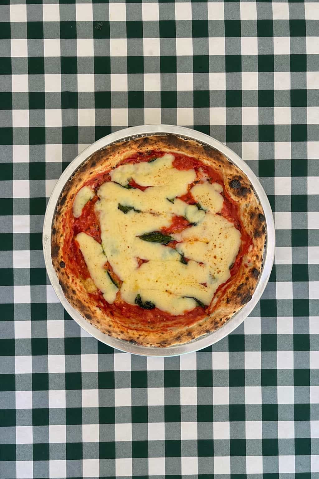 Pizza Benita - Margarita